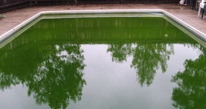 How to clean a green pool Easy steps